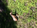 img_1322332089_834