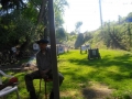 img_1302427616_562