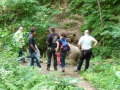 img_1321859428_301