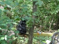 img_1324141168_180
