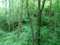 IMAG0312