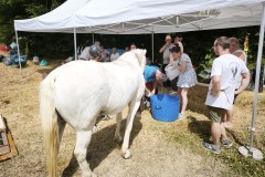 IMG_20260621_155850