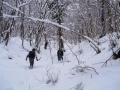 img_1284127127_386